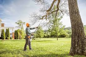 How Our Tree Care Process Works  in  Fennville, MI